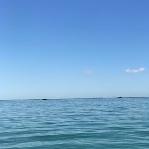 Meet your Posher, Lucrecia